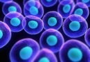 SYSEMIC SCLEROSIS:  NISSc-1 LTE (EBMT)– Autologous Hematopoietic Stem Cell transplantation